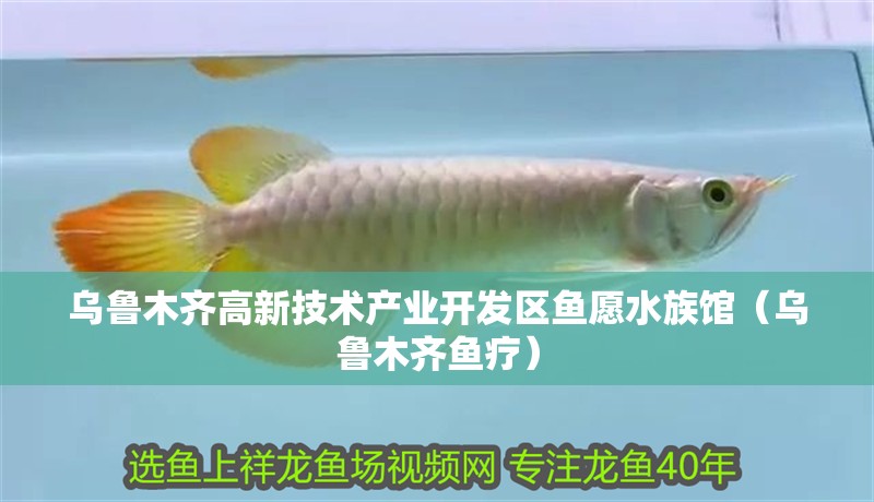 烏魯木齊高新技術產業開發區魚愿水族館（烏魯木齊魚療）