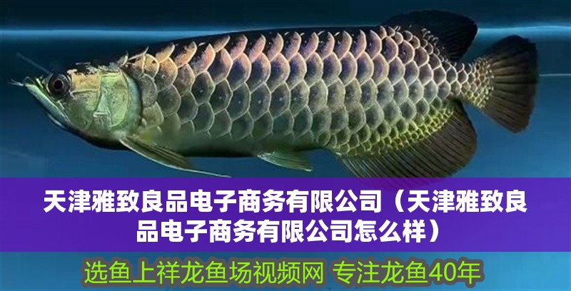 天津雅致良品電子商務有限公司(天津雅致良品電子商務有限公司怎么樣) 全國水族館企業名錄 第2張 天津雅致良品電子商務有限公司(天津雅致良品電子商務有限公司怎么樣) 天津雅致良品電子商務有限公司(天津雅致良品電子商務有限公司怎么樣) 全國水族館企業名錄 第2張