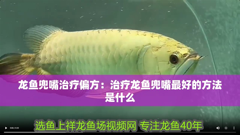 龍魚(yú)兜嘴治療偏方：治療龍魚(yú)兜嘴最好的方法是什么