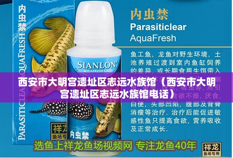 西安市大明宮遺址區(qū)志遠水族館（西安市大明宮遺址區(qū)志遠水族館電話） 西安市大明宮遺址區(qū)志遠水族館（西安市大明宮遺址區(qū)志遠水族館電話） 全國水族館企業(yè)名錄 第2張