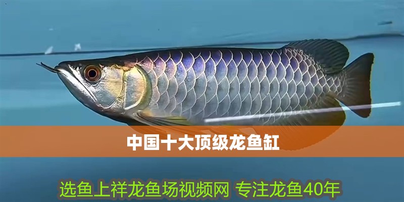中國十大頂級龍魚缸