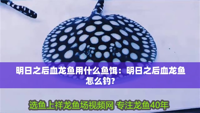 明日之后血龍魚用什么魚餌：明日之后血龍魚怎么釣?