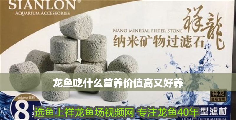 龍魚吃什么營養(yǎng)價值高又好養(yǎng) 龍魚百科 第2張 龍魚吃什么營養(yǎng)價值高又好養(yǎng) 龍魚吃什么營養(yǎng)價值高又好養(yǎng) 龍魚百科 第2張