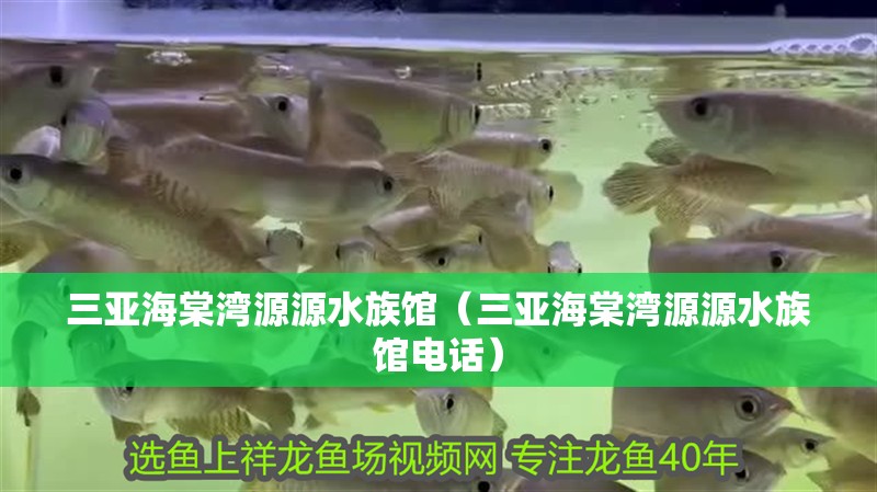 三亞海棠灣源源水族館（三亞海棠灣源源水族館電話） 三亞海棠灣源源水族館（三亞海棠灣源源水族館電話） 全國水族館企業(yè)名錄 第2張