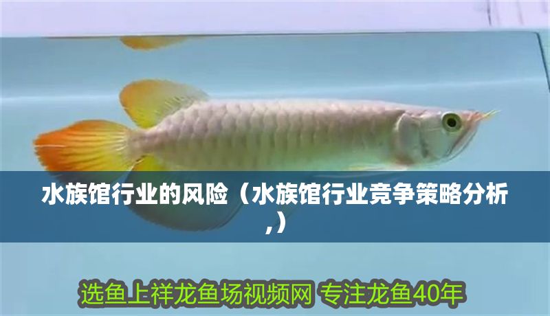 水族館行業的風險（水族館行業競爭策略分析,）