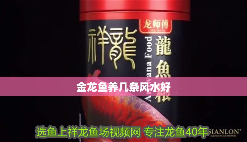 金龍魚養(yǎng)幾條風水好