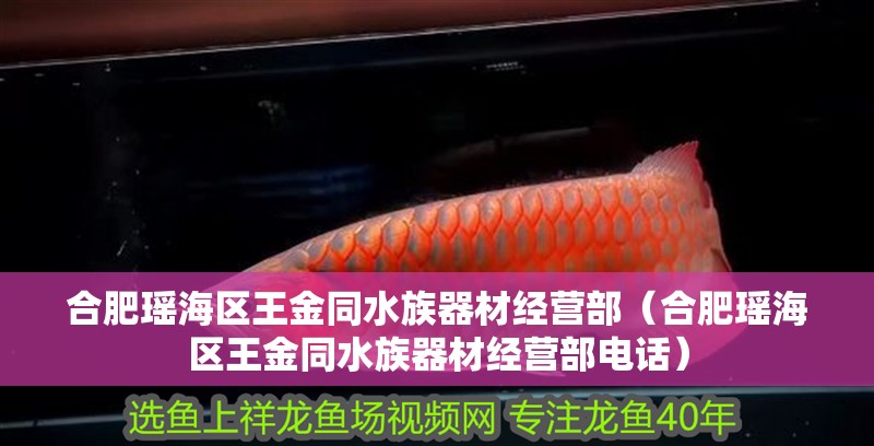 合肥瑤海區王金同水族器材經營部（合肥瑤海區王金同水族器材經營部電話）