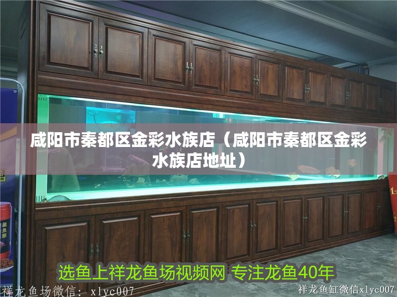 咸陽市秦都區金彩水族店（咸陽市秦都區金彩水族店地址）