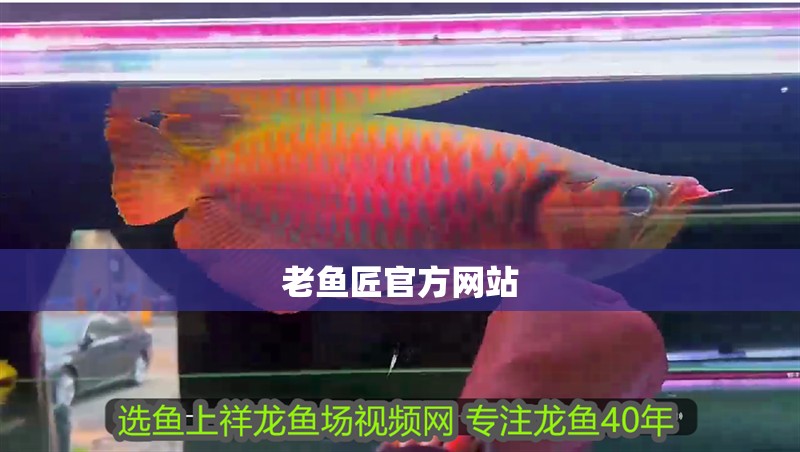 老魚匠官方網站