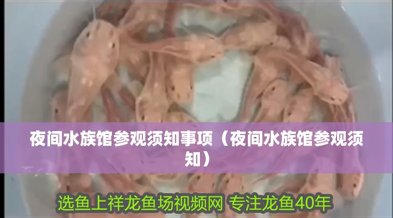 夜間水族館參觀須知事項（夜間水族館參觀須知） 夜間水族館參觀須知事項（夜間水族館參觀須知） 水族館百科（水族館加盟） 第1張