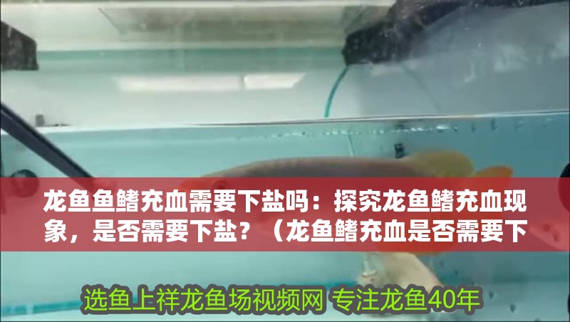 龍魚魚鰭充血需要下鹽嗎：探究龍魚鰭充血現象，是否需要下鹽？（龍魚鰭充血是否需要下鹽）