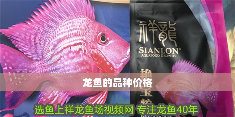 龍魚的品種價(jià)格