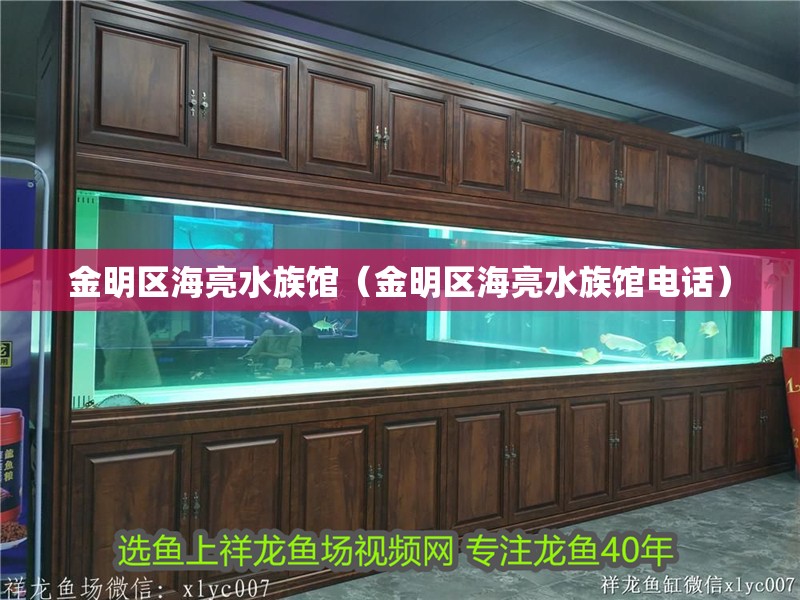 金明區海亮水族館（金明區海亮水族館電話）