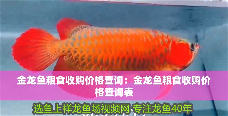 金龍魚糧食收購價格查詢:金龍魚糧食收購價格查詢表 水族問答 金龍魚糧食收購價格查詢:金龍魚糧食收購價格查詢表 金龍魚糧食收購價格查詢:金龍魚糧食收購價格查詢表 水族問答