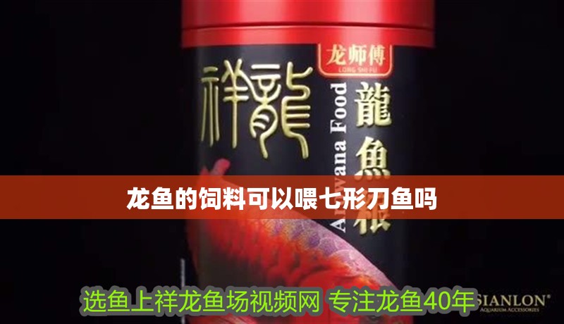 龍魚的飼料可以喂七形刀魚嗎