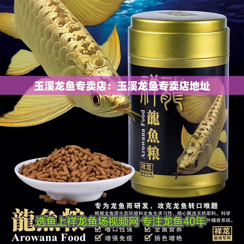玉溪龍魚專賣店：玉溪龍魚專賣店地址