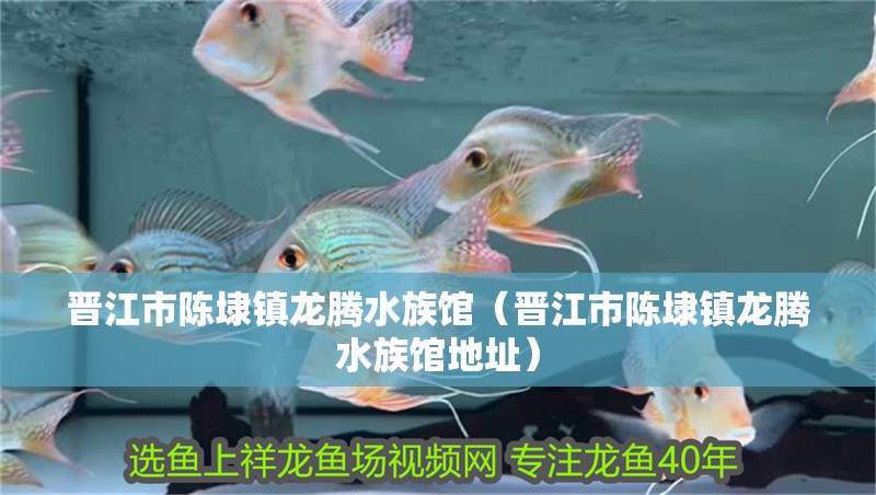 晉江市陳埭鎮(zhèn)龍騰水族館（晉江市陳埭鎮(zhèn)龍騰水族館地址）