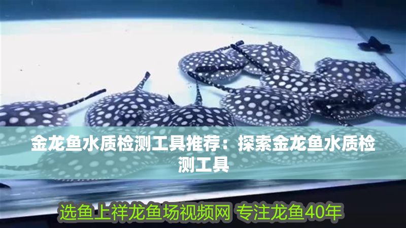 金龍魚水質(zhì)檢測(cè)工具推薦：探索金龍魚水質(zhì)檢測(cè)工具