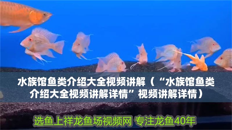 水族館魚類介紹大全視頻講解（“水族館魚類介紹大全視頻講解詳情”視頻講解詳情）