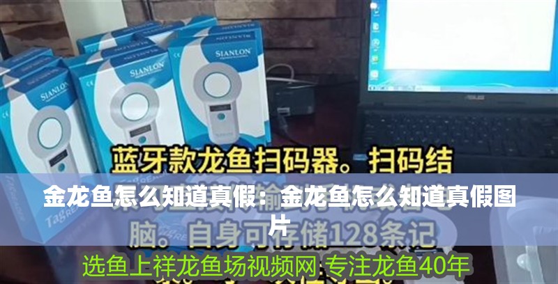 金龍魚怎么知道真假:金龍魚怎么知道真假圖片 水族問答 金龍魚怎么知道真假:金龍魚怎么知道真假圖片 金龍魚怎么知道真假:金龍魚怎么知道真假圖片 水族問答