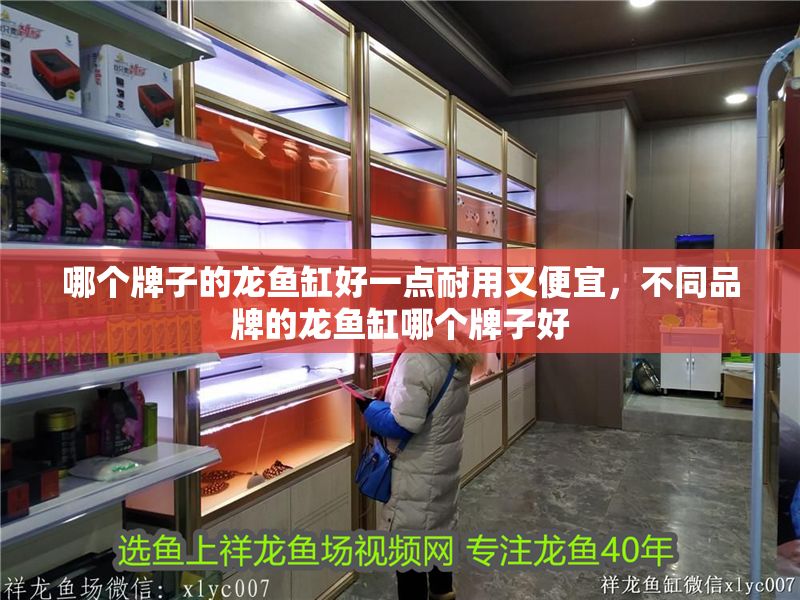 哪個牌子的龍魚缸好一點(diǎn)耐用又便宜，不同品牌的龍魚缸哪個牌子好