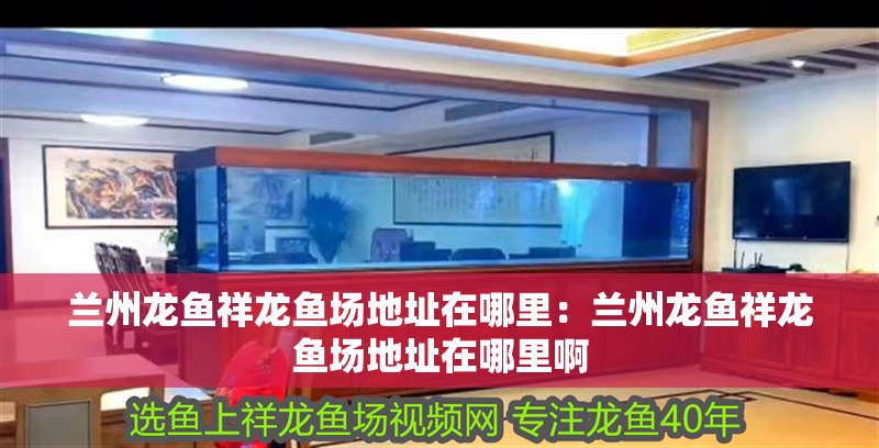 蘭州龍魚祥龍魚場地址在哪里：蘭州龍魚祥龍魚場地址在哪里啊