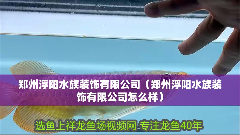 鄭州浮陽水族裝飾有限公司（鄭州浮陽水族裝飾有限公司怎么樣） 鄭州浮陽水族裝飾有限公司（鄭州浮陽水族裝飾有限公司怎么樣） 全國水族館企業名錄 第2張