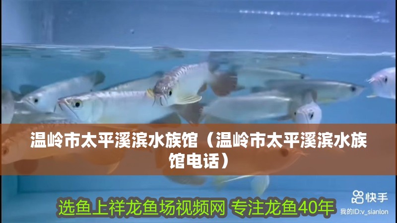 溫嶺市太平溪濱水族館（溫嶺市太平溪濱水族館電話） 溫嶺市太平溪濱水族館（溫嶺市太平溪濱水族館電話） 全國水族館企業(yè)名錄 第2張