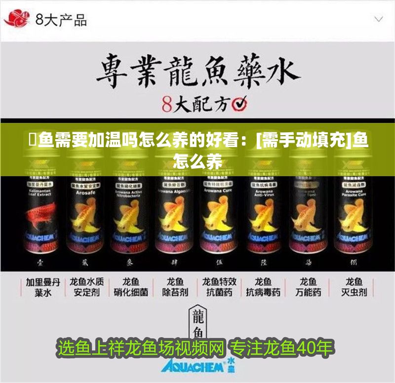 魟魚需要加溫嗎怎么養(yǎng)的好看：[需手動(dòng)填充]魚怎么養(yǎng)