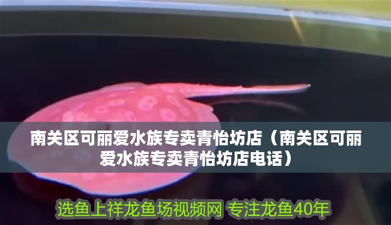 南關區可麗愛水族專賣青怡坊店（南關區可麗愛水族專賣青怡坊店電話）