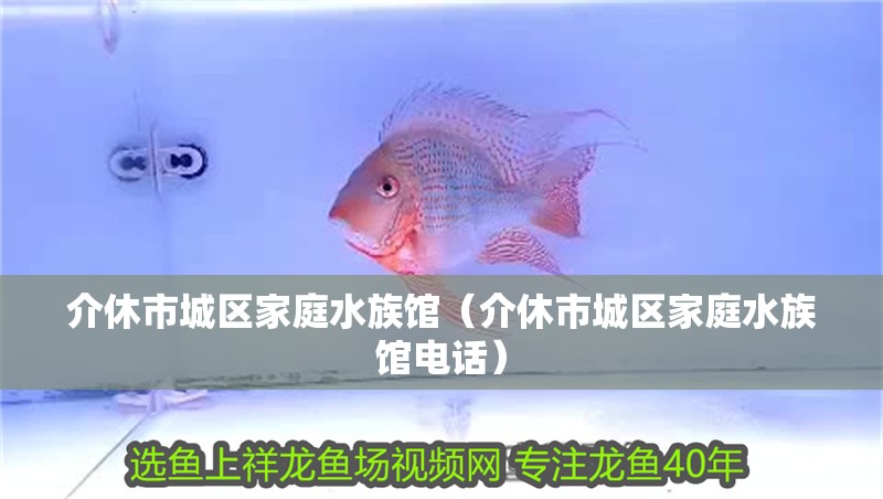 介休市城區家庭水族館(介休市城區家庭水族館電話)