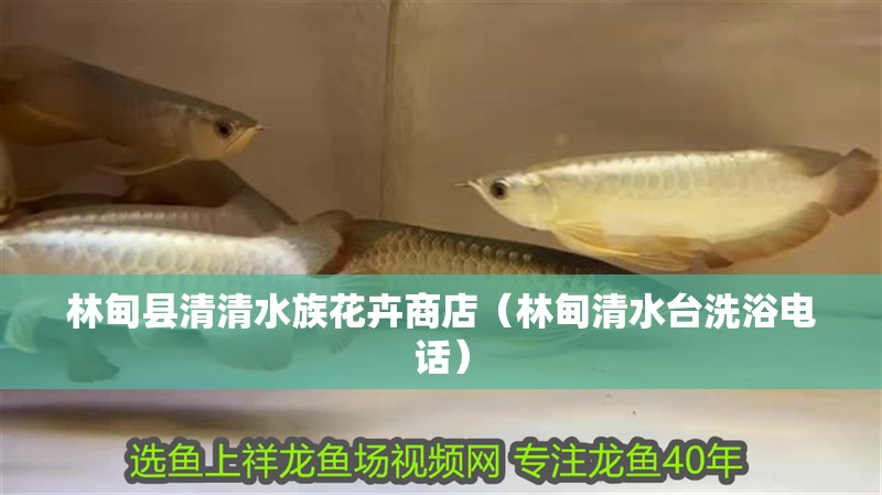 林甸縣清清水族花卉商店（林甸清水臺洗浴電話） 林甸縣清清水族花卉商店（林甸清水臺洗浴電話） 全國水族館企業名錄 第2張