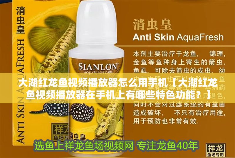 大湖紅龍魚視頻播放器怎么用手機【大湖紅龍魚視頻播放器在手機上有哪些特色功能?】 大湖紅龍魚百科 第1張 大湖紅龍魚視頻播放器怎么用手機【大湖紅龍魚視頻播放器在手機上有哪些特色功能?】 大湖紅龍魚視頻播放器怎么用手機【大湖紅龍魚視頻播放器在手機上有哪些特色功能?】 大湖紅龍魚百科 第1張