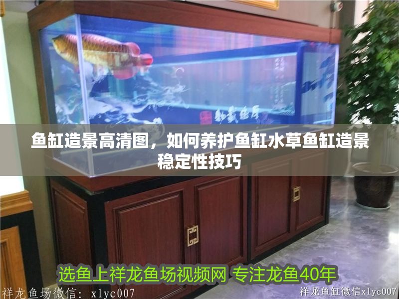 魚缸造景高清圖，如何養護魚缸水草魚缸造景穩定性技巧