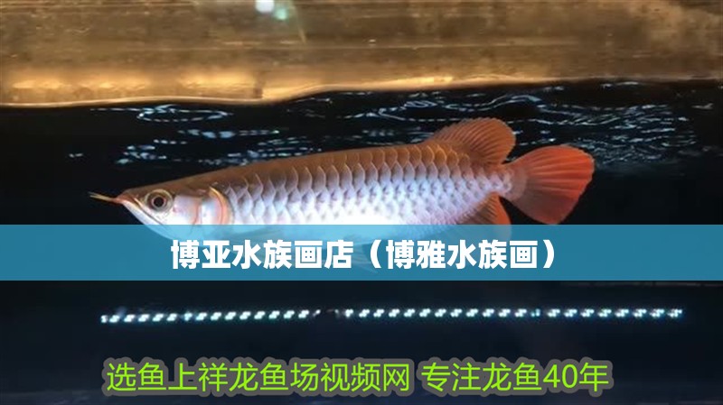博亞水族畫店（博雅水族畫）