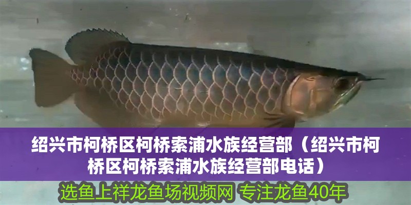 紹興市柯橋區(qū)柯橋索浦水族經(jīng)營(yíng)部（紹興市柯橋區(qū)柯橋索浦水族經(jīng)營(yíng)部電話）
