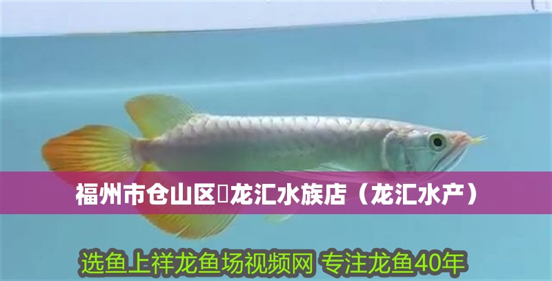 福州市倉山區(qū)魟龍匯水族店（龍匯水產(chǎn)）
