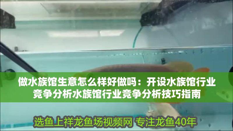 做水族館生意怎么樣好做嗎：開設(shè)水族館行業(yè)競爭分析水族館行業(yè)競爭分析技巧指南