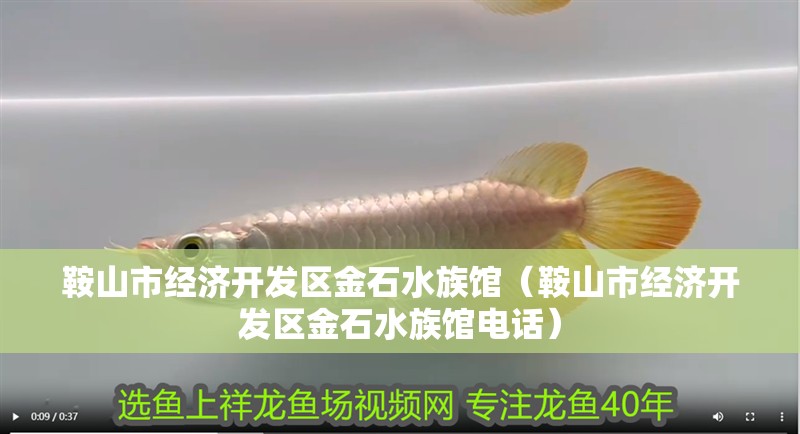 鞍山市經(jīng)濟(jì)開發(fā)區(qū)金石水族館（鞍山市經(jīng)濟(jì)開發(fā)區(qū)金石水族館電話）