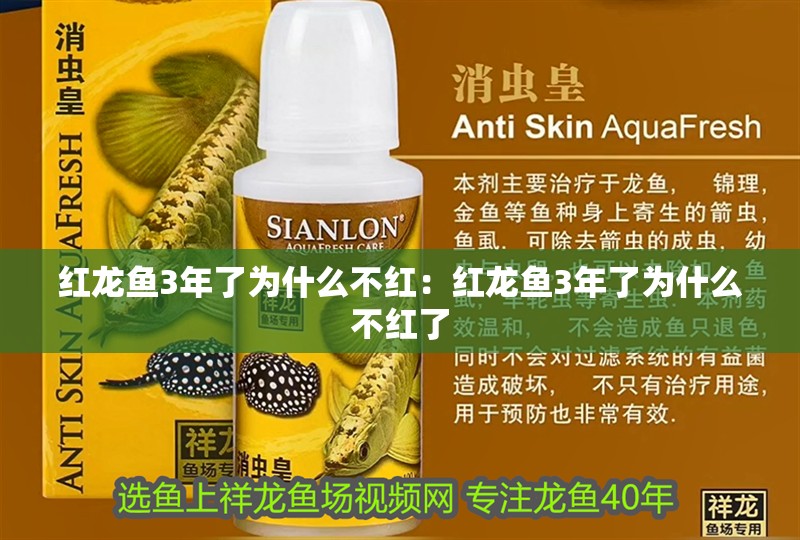 紅龍魚3年了為什么不紅：紅龍魚3年了為什么不紅了