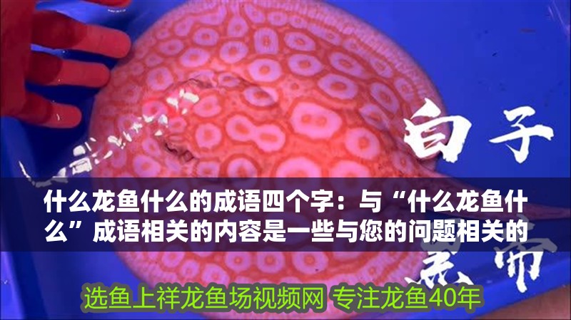 什么龍魚什么的成語四個字：與“什么龍魚什么”成語相關的內容是一些與您的問題相關的內容