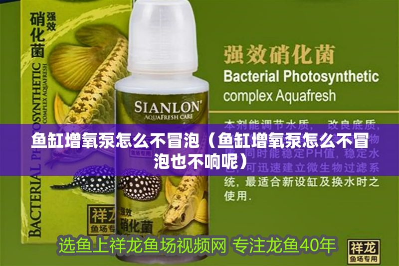 魚缸增氧泵怎么不冒泡（魚缸增氧泵怎么不冒泡也不響呢）