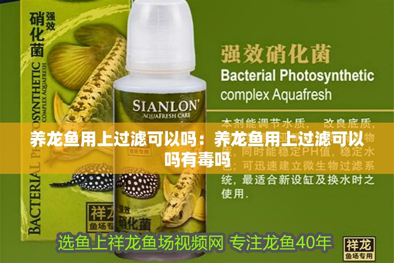養龍魚用上過濾可以嗎：養龍魚用上過濾可以嗎有毒嗎 養龍魚用上過濾可以嗎：養龍魚用上過濾可以嗎有毒嗎 水族問答