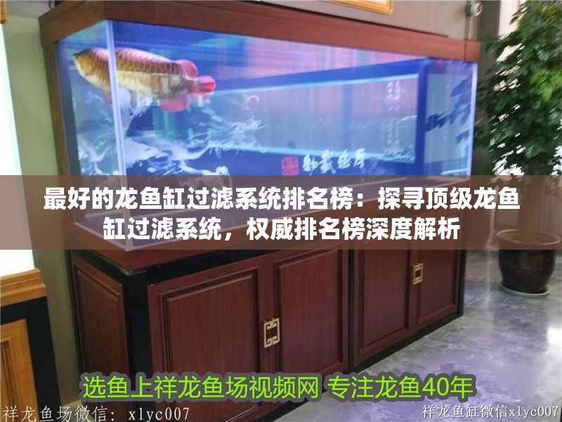 最好的龍魚缸過濾系統(tǒng)排名榜：探尋頂級龍魚缸過濾系統(tǒng)，權(quán)威排名榜深度解析