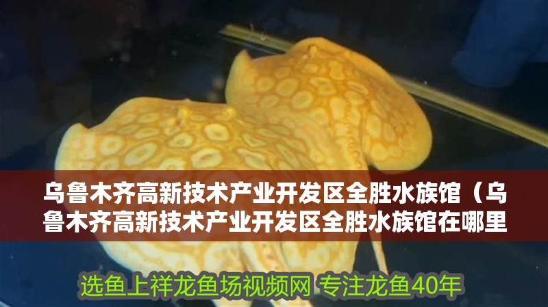 烏魯木齊高新技術(shù)產(chǎn)業(yè)開發(fā)區(qū)全勝水族館（烏魯木齊高新技術(shù)產(chǎn)業(yè)開發(fā)區(qū)全勝水族館在哪里）