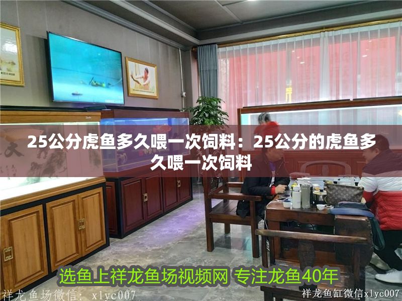 25公分虎魚多久喂一次飼料：25公分的虎魚多久喂一次飼料