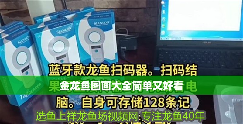 金龍魚圖畫大全簡單又好看 龍魚百科 第2張 金龍魚圖畫大全簡單又好看 金龍魚圖畫大全簡單又好看 龍魚百科 第2張