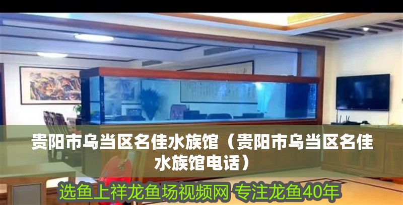 貴陽市烏當區名佳水族館（貴陽市烏當區名佳水族館電話） 貴陽市烏當區名佳水族館（貴陽市烏當區名佳水族館電話） 全國水族館企業名錄 第2張