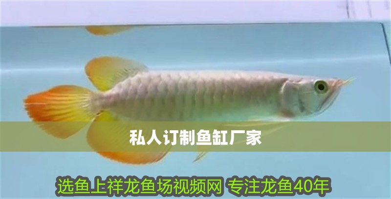 私人訂制魚缸廠家