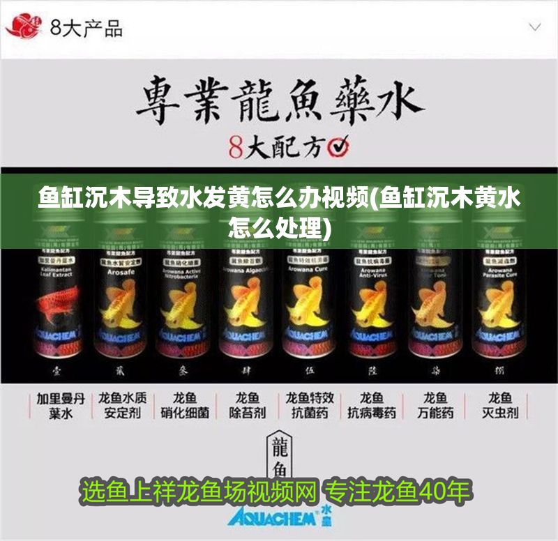 魚缸沉木導致水發黃怎么辦視頻(魚缸沉木黃水怎么處理) 魚缸沉木導致水發黃怎么辦視頻(魚缸沉木黃水怎么處理) 錦鯉魚百科 第1張